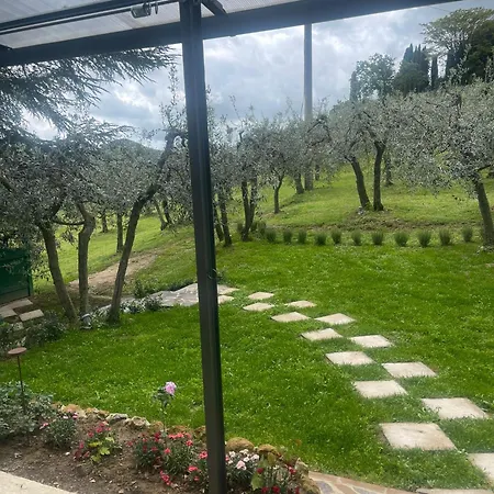 Mikipong Montepulciano