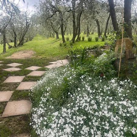 Mikipong Semesterbostad Montepulciano Stazione